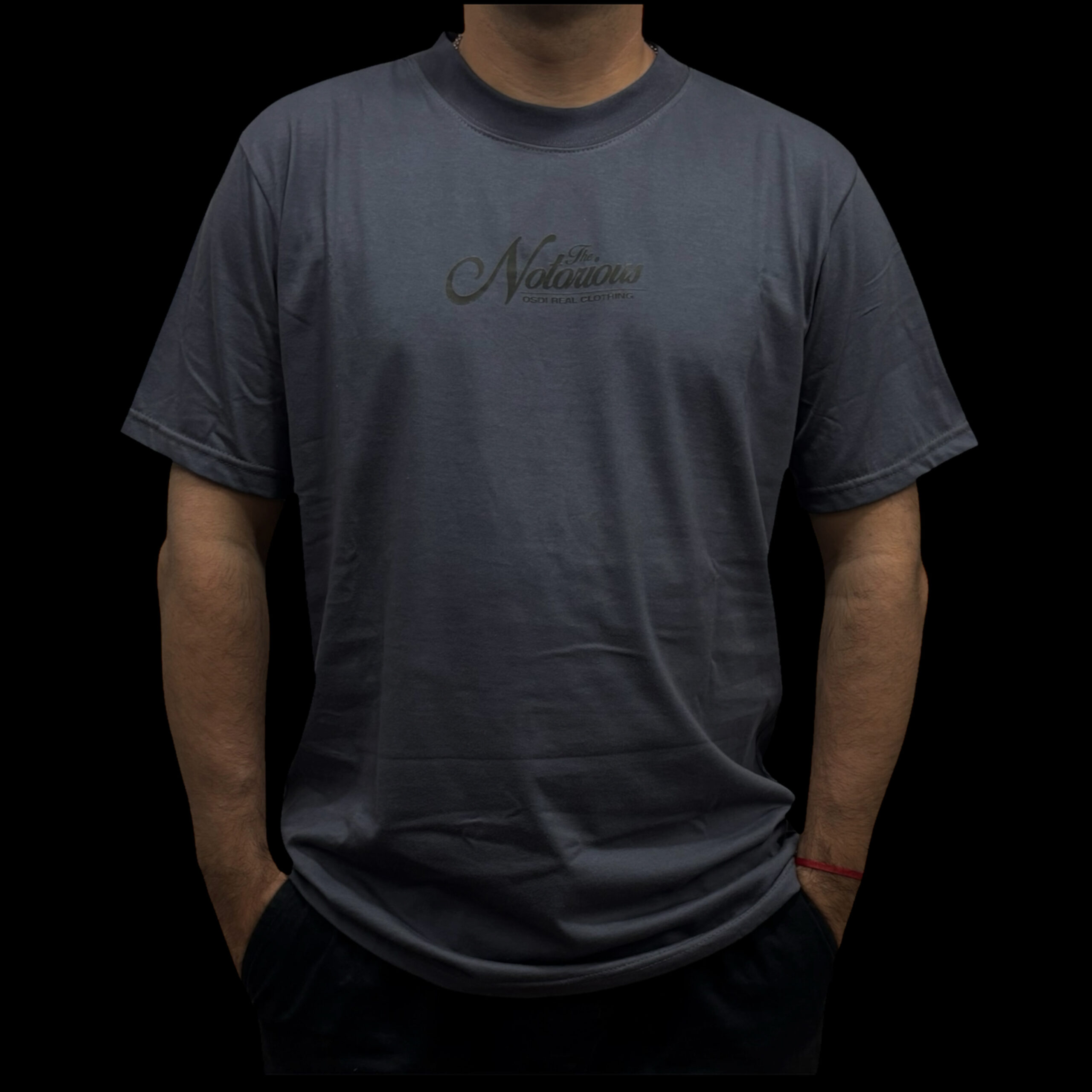 THE NOTORIOUS - Imagen 3