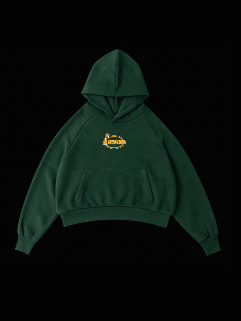 hoodie boston