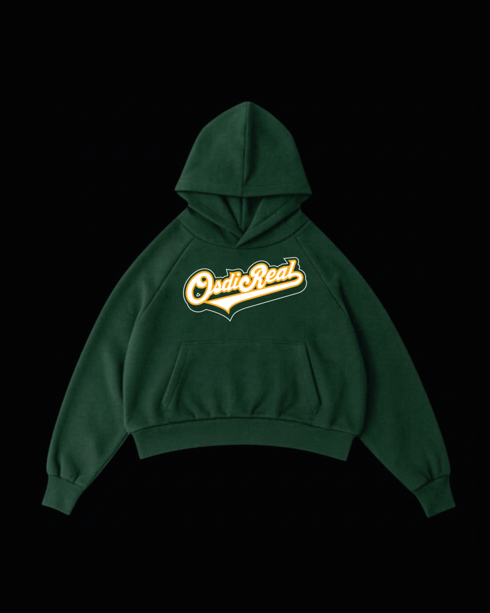 hoodie boston (copia)