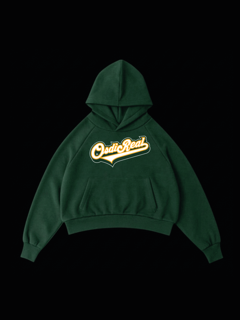 hoodie boston (copia)